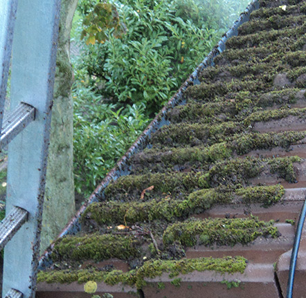 Nettoyage et démoussage de toiture dans la Sarthe (72)
