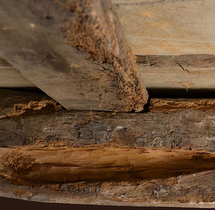 Traitement de charpente dans la Sarthe (72)